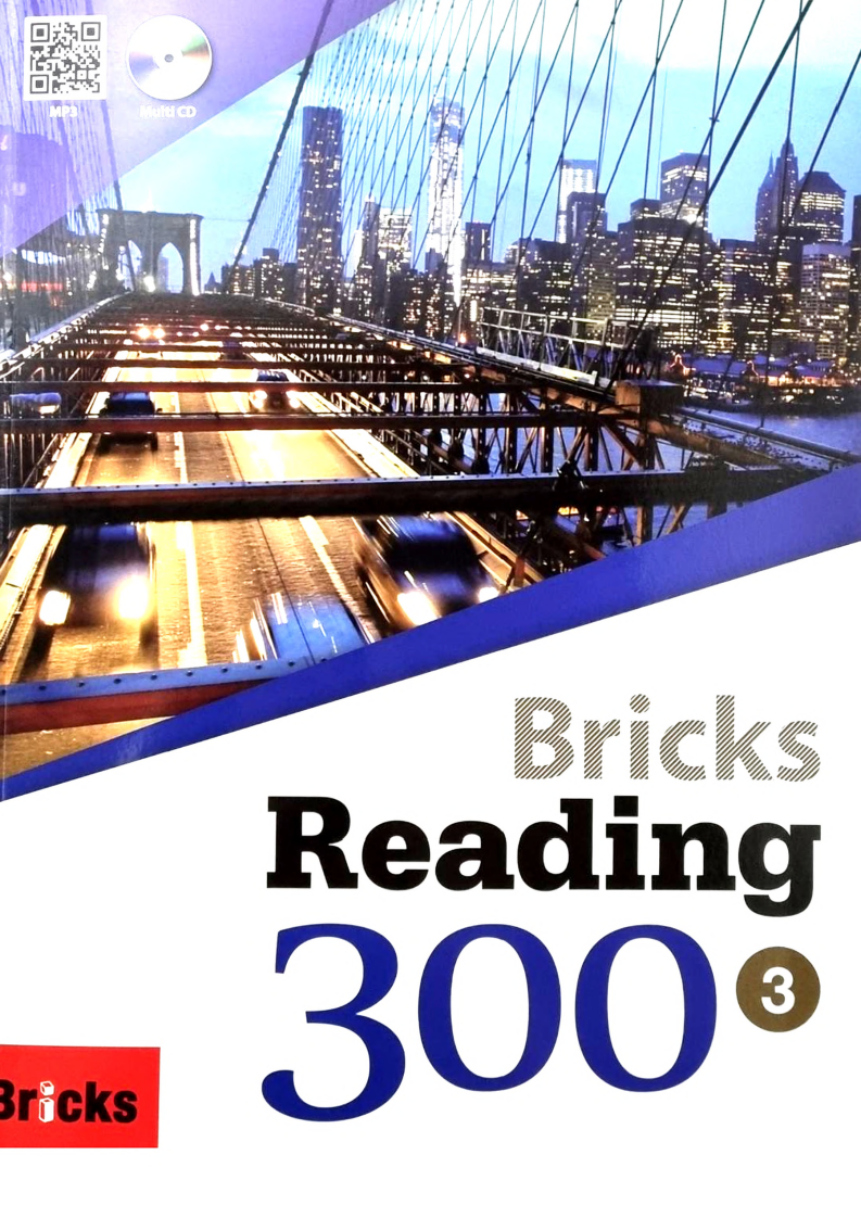 Bricks Reading 300³ 第1页